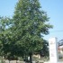 172-pontoxwri