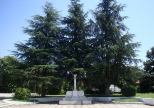 Η Νέα Πέλλα